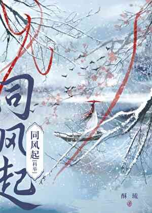 穿书女配，但考科举