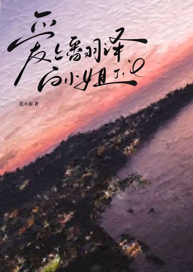《爱上翻译白小 姐》